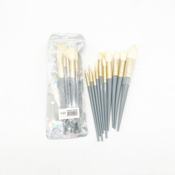 FXY946 SET DE BROCHAS 10pcs