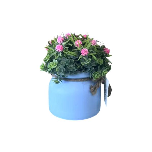FXY-4304 PSEUDOGAMIAS FXY4304
