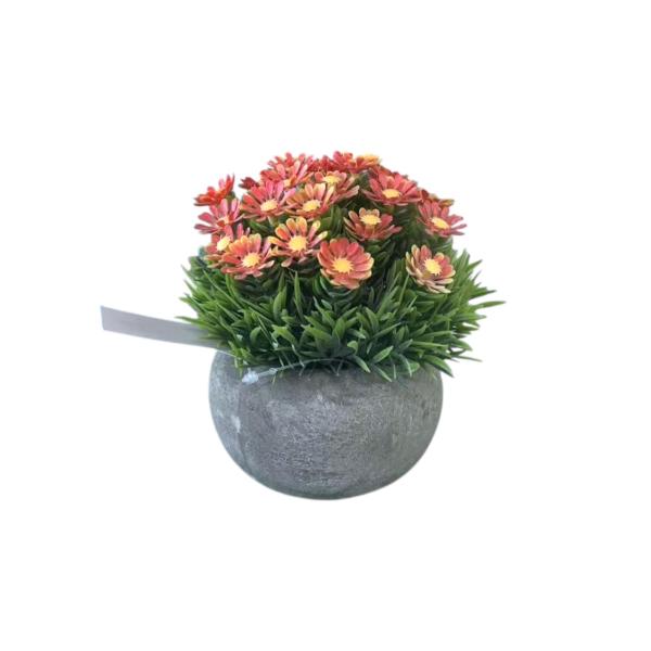 FXY-4307 PSEUDOGAMIAS FXY4307