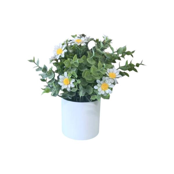 FXY-4309 PSEUDOGAMIAS FXY4309